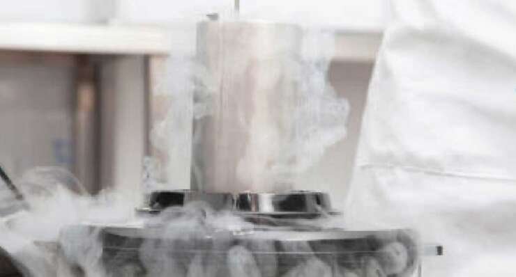 Embryo Freezing